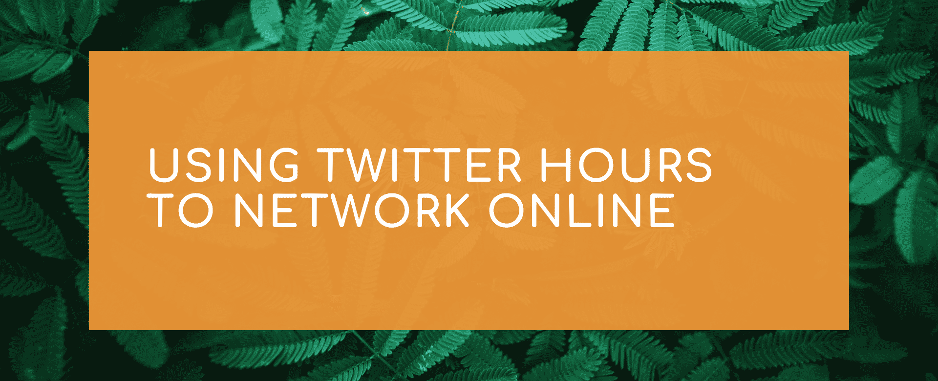 Using Twitter Hours to Network Online