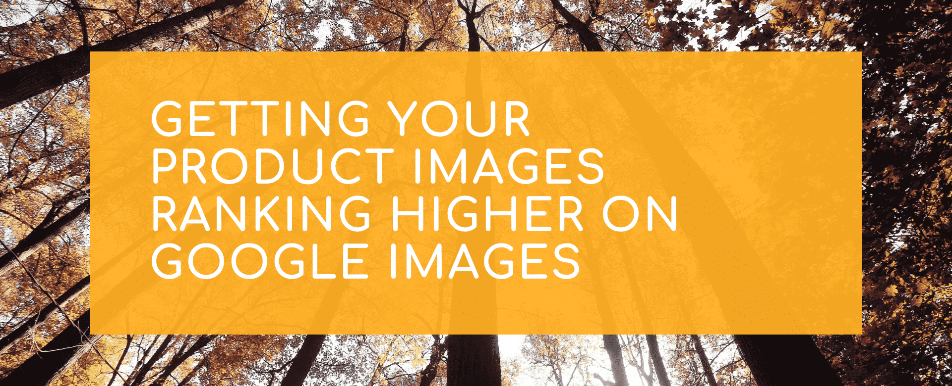 Getting your product images ranking higher on Google images