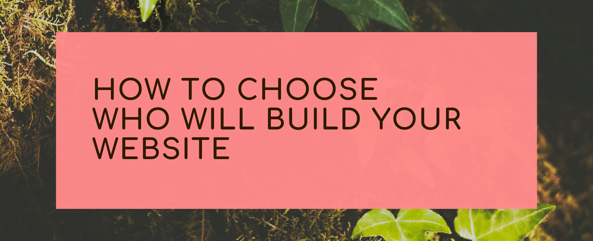 How to choose who will build your website