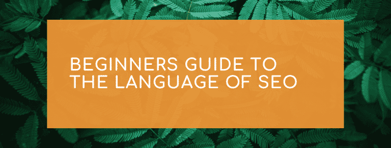 Beginners guide to the language of SEO
