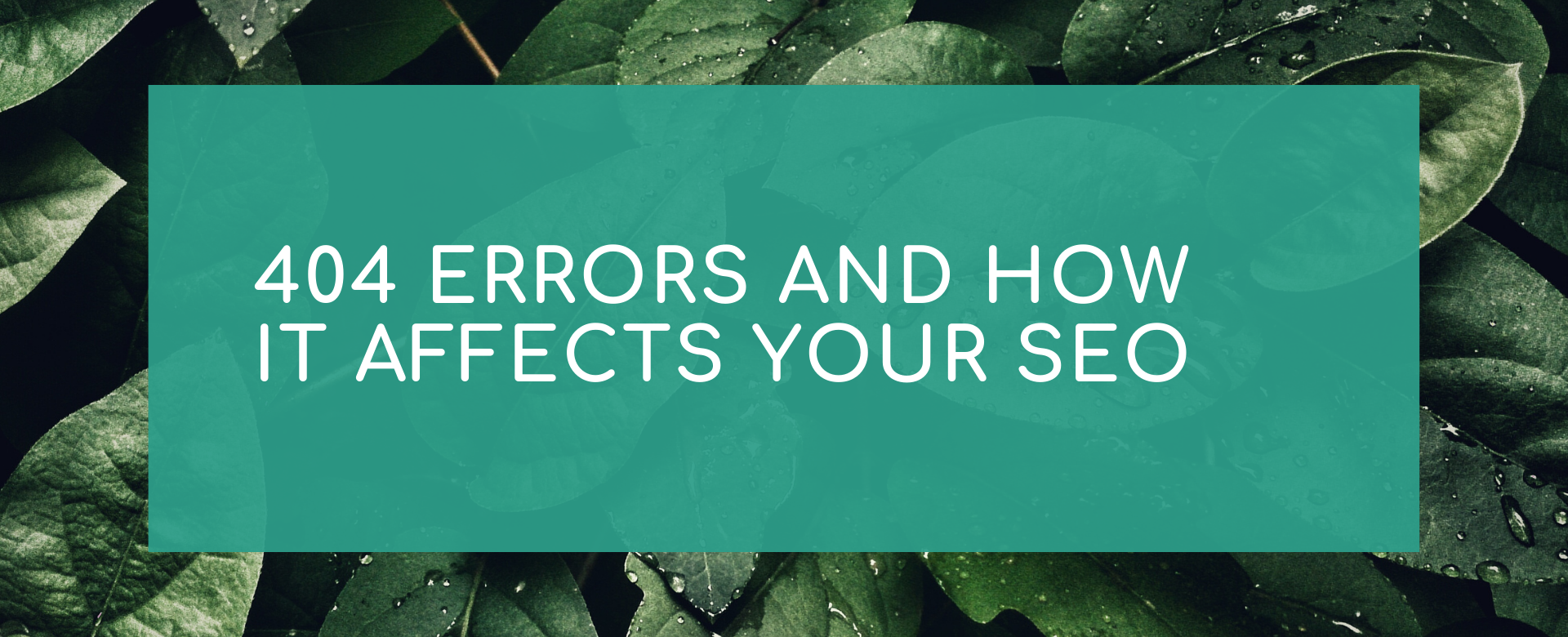 404 errors and how it affects your SEO