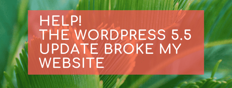 Help WP 5.5 broke my site