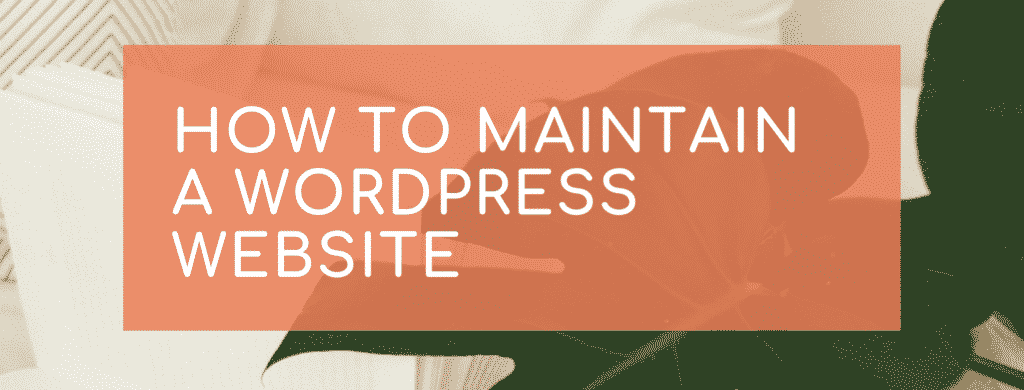 Maintaining a WordPress website 1