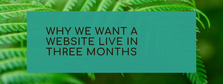 Why we want a website live in three months