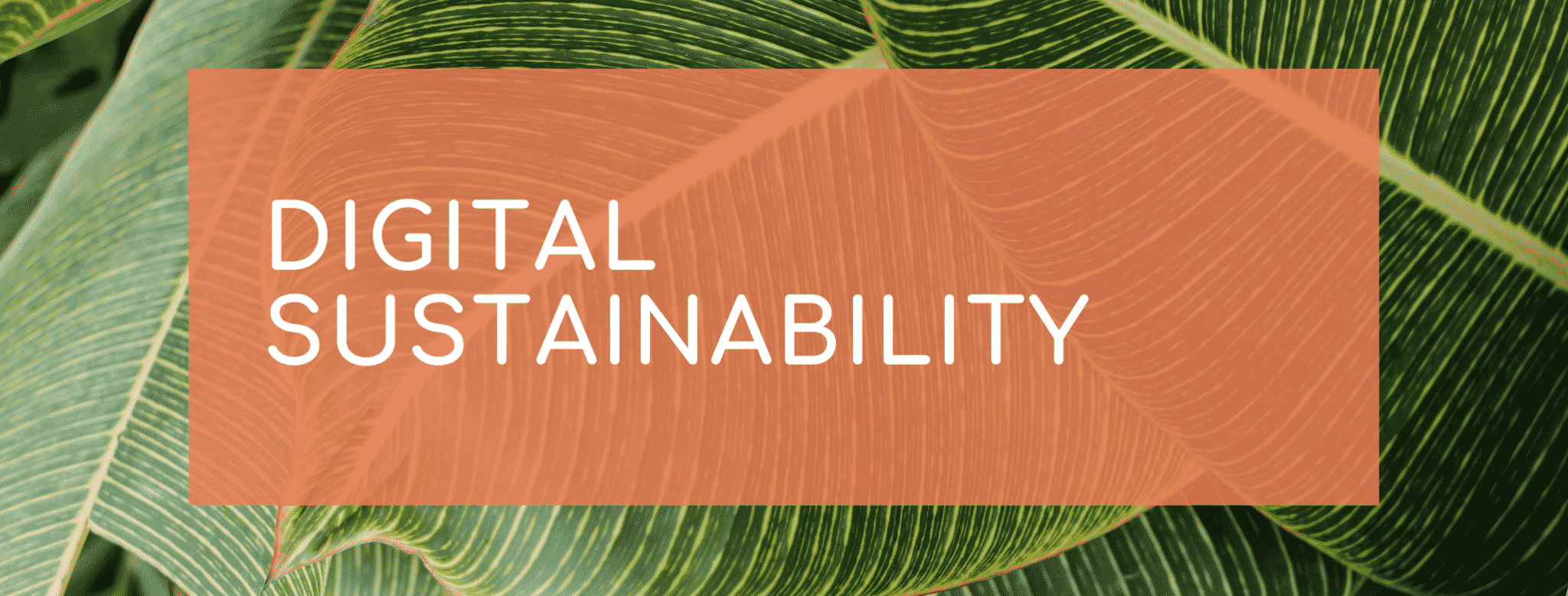 Digital Sustainability for small and micro businesses