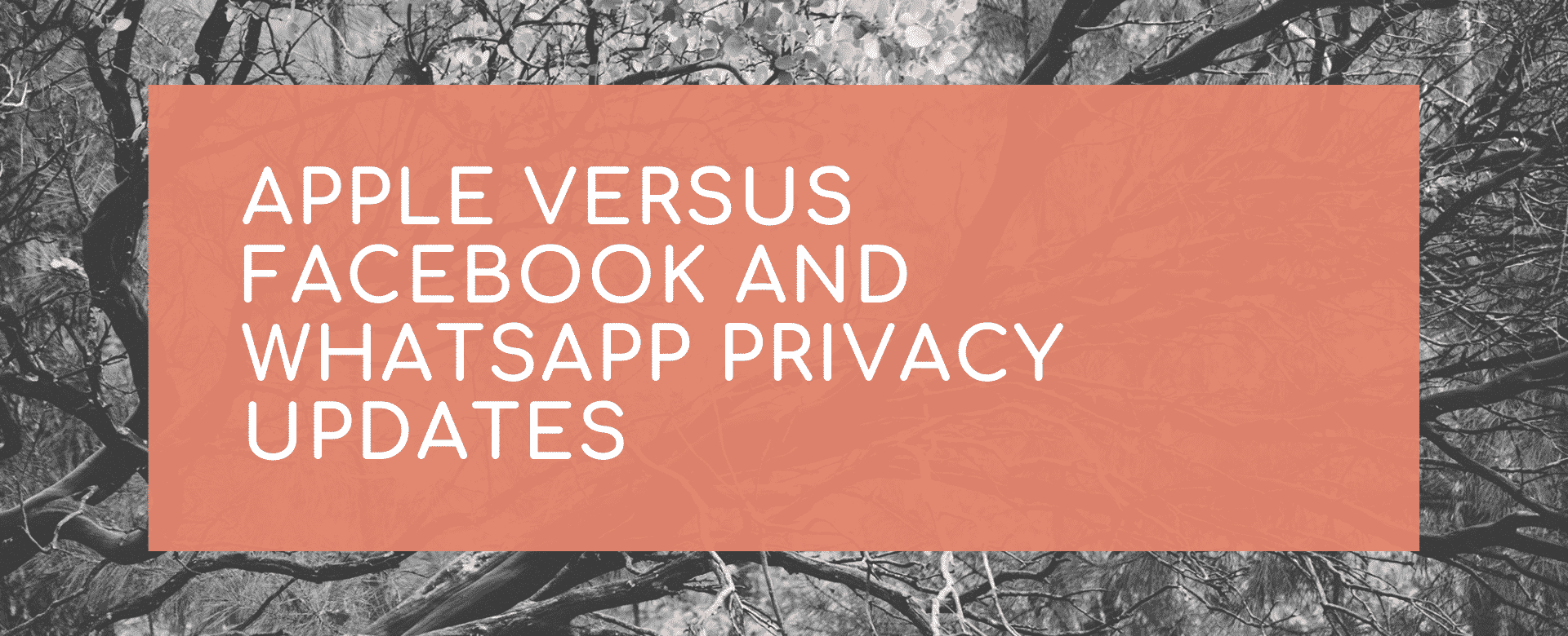 Apple versus Facebook and WhatsApp privacy updates
