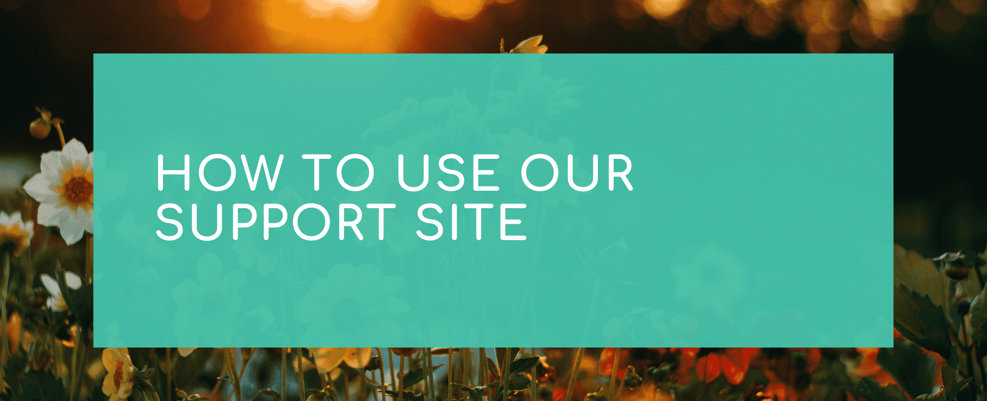 How to use our support site