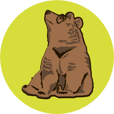 bear circle (4)