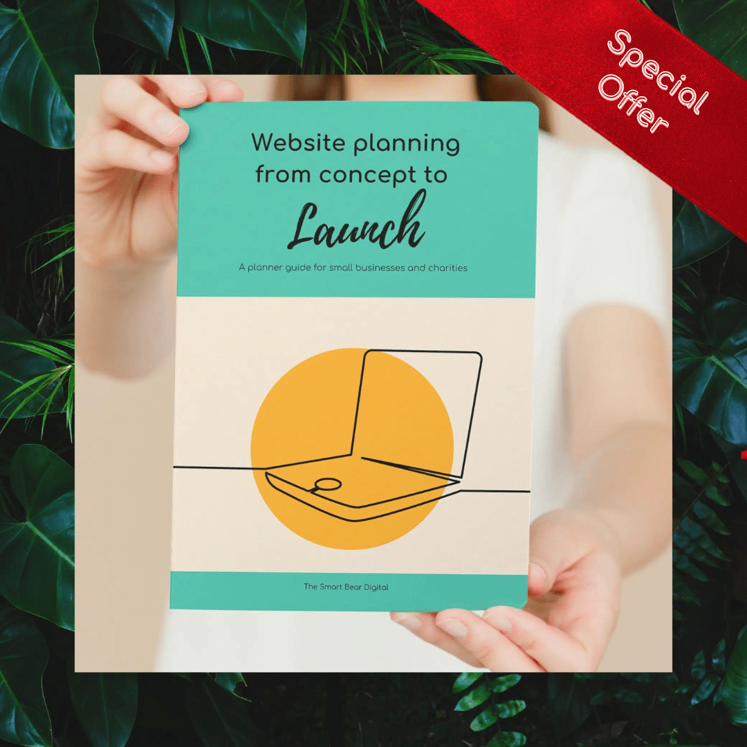 Website Planning from Concept to Launch Book 2