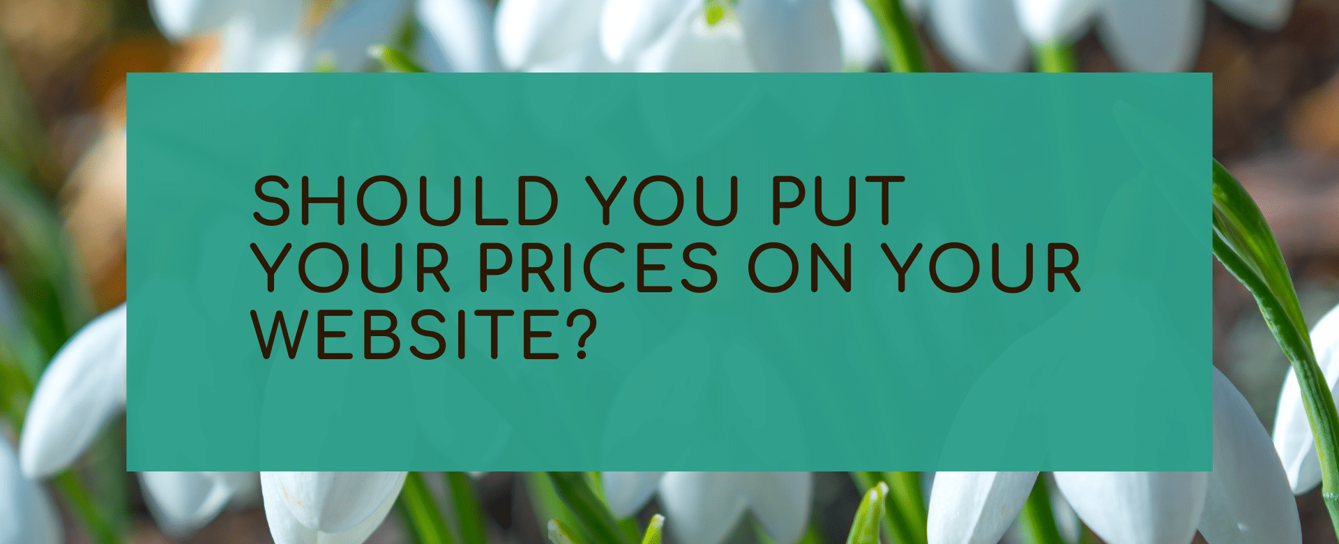 Snow drop background with a green inner box asking Should you put your prices on your website?