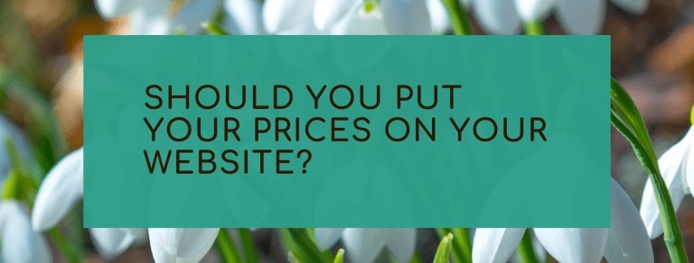Snow drop background with a green inner box asking Should you put your prices on your website?