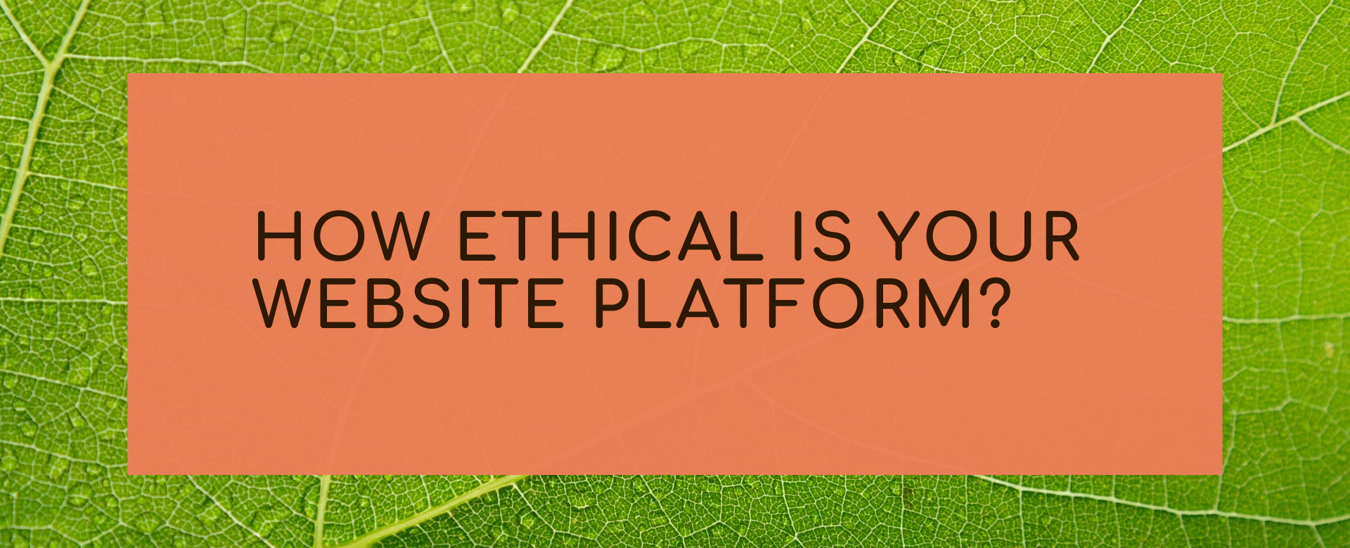 How ethical is your website platform?