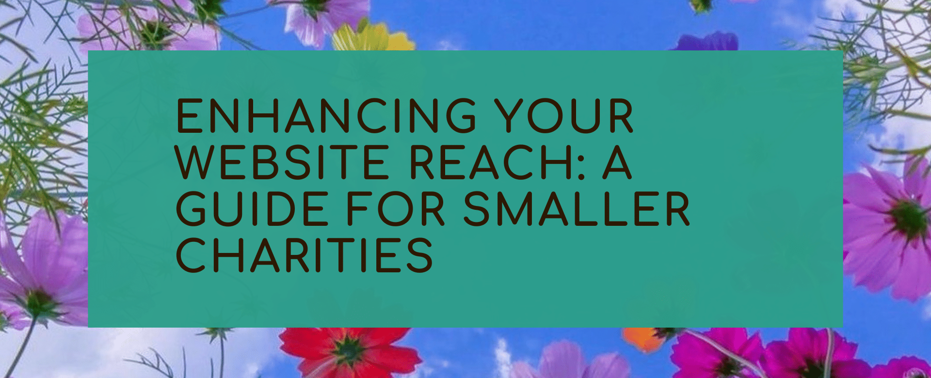 Enhancing Your Website Reach: A Guide for Smaller Charities