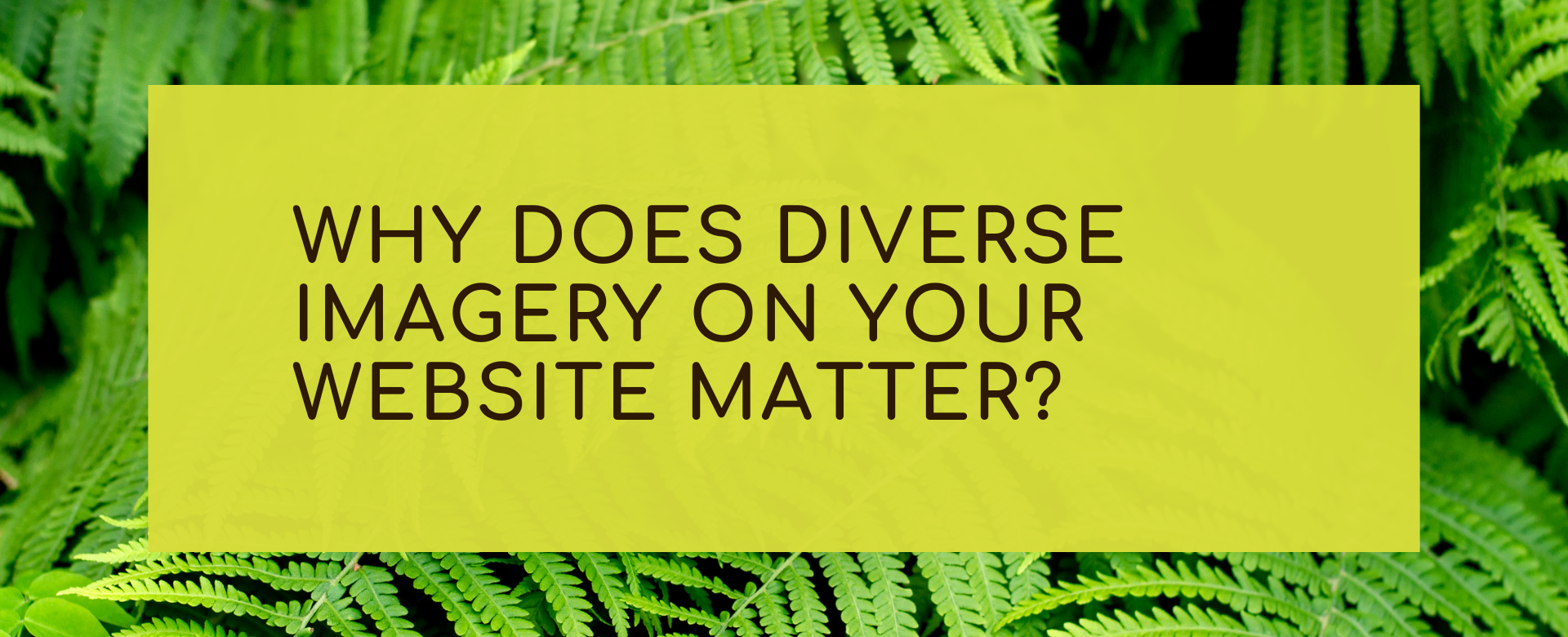Why does diversity matter when it comes to imagery on your website