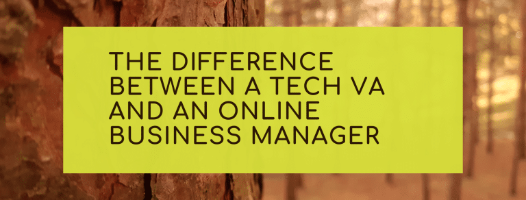 The Difference Between a Tech VA and an Online Business Manager