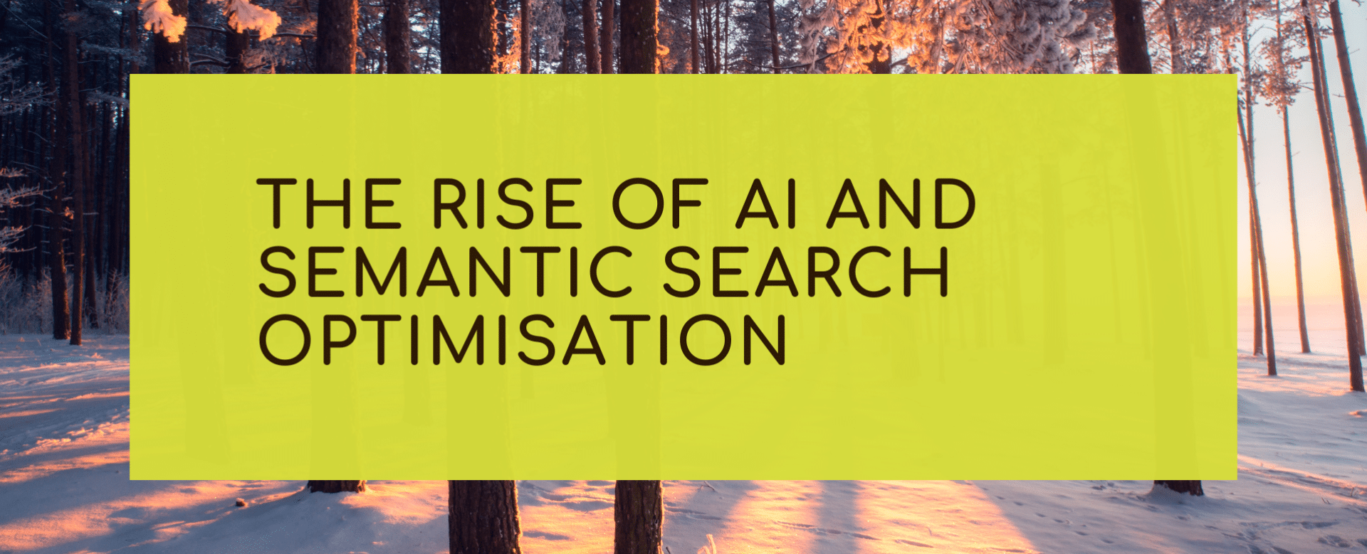 The Rise of AI and Semantic Search Optimisation: What It Means for Small Businesses and Charities