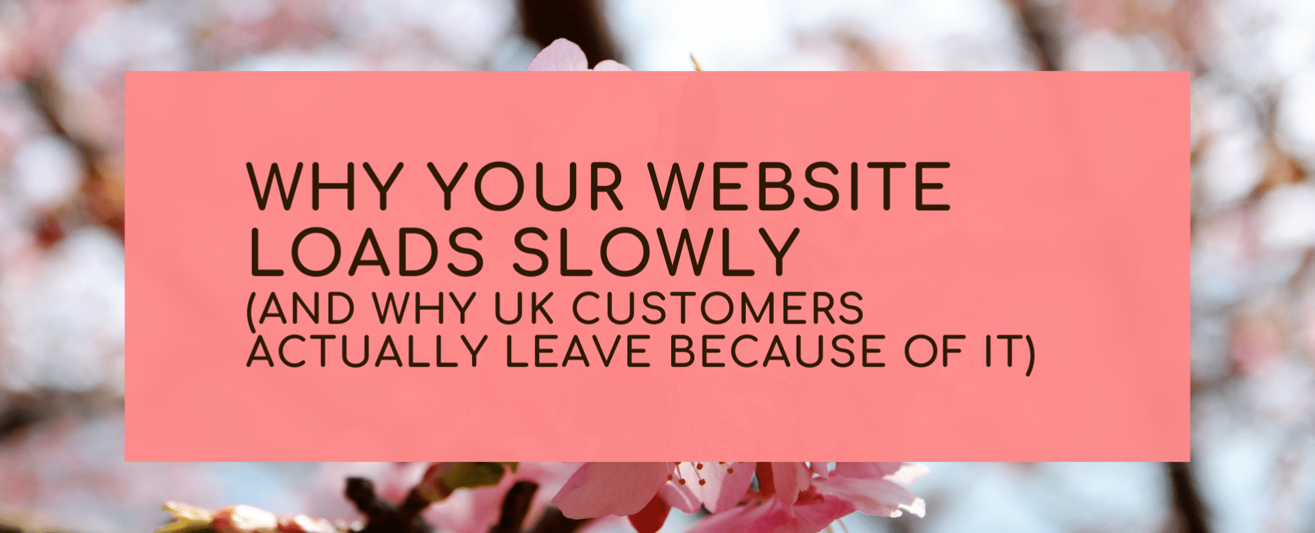 Why Your Website Loads Slowly (And Why UK Customers Actually Leave Because of It)