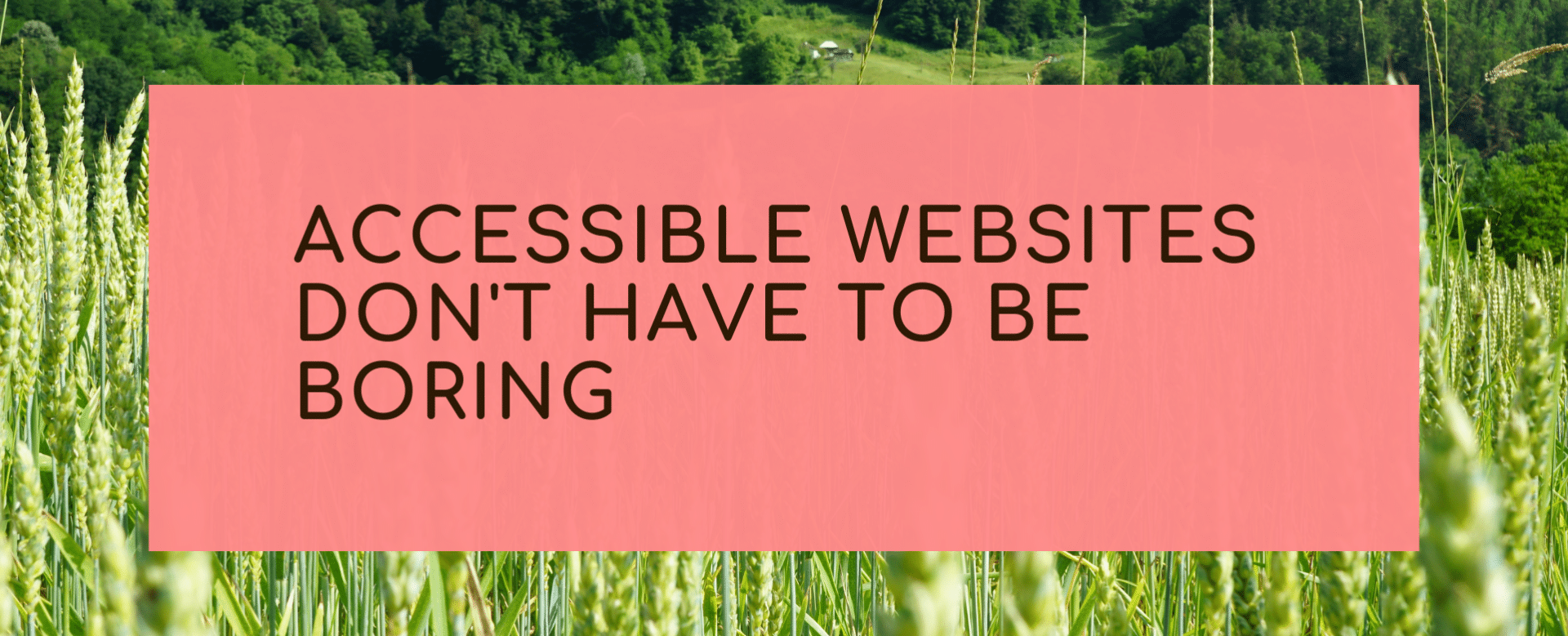Accessible Websites Don't Have to Be Boring