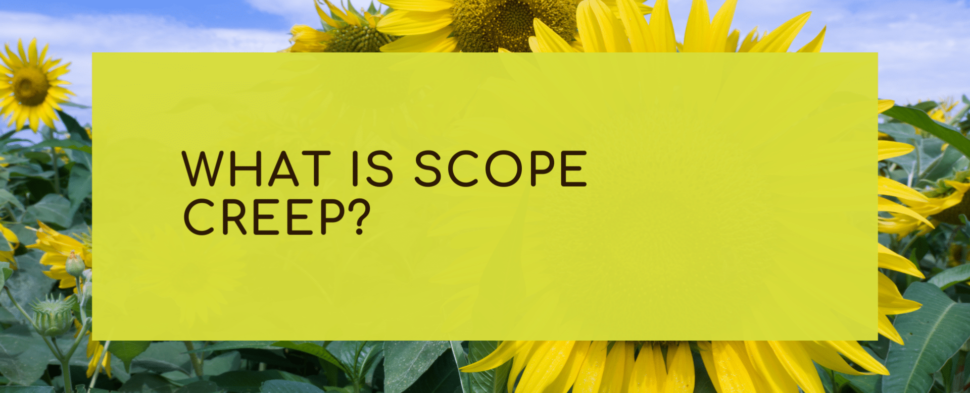 What Is Scope Creep?