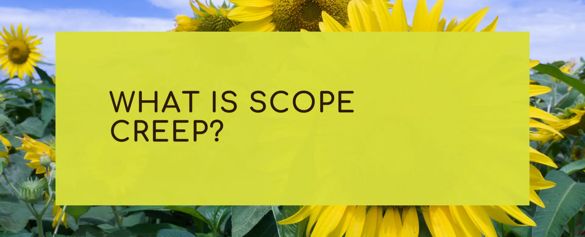 What Is Scope Creep?
