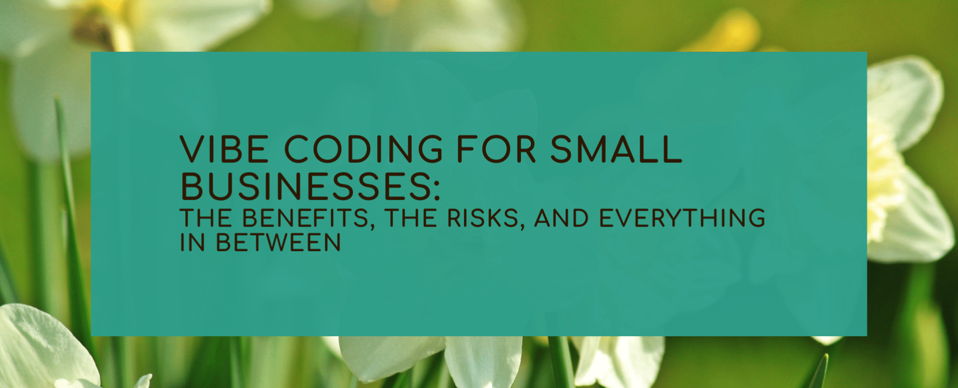Vibe Coding for Small Businesses: The Benefits, the Risks, and Everything In Between