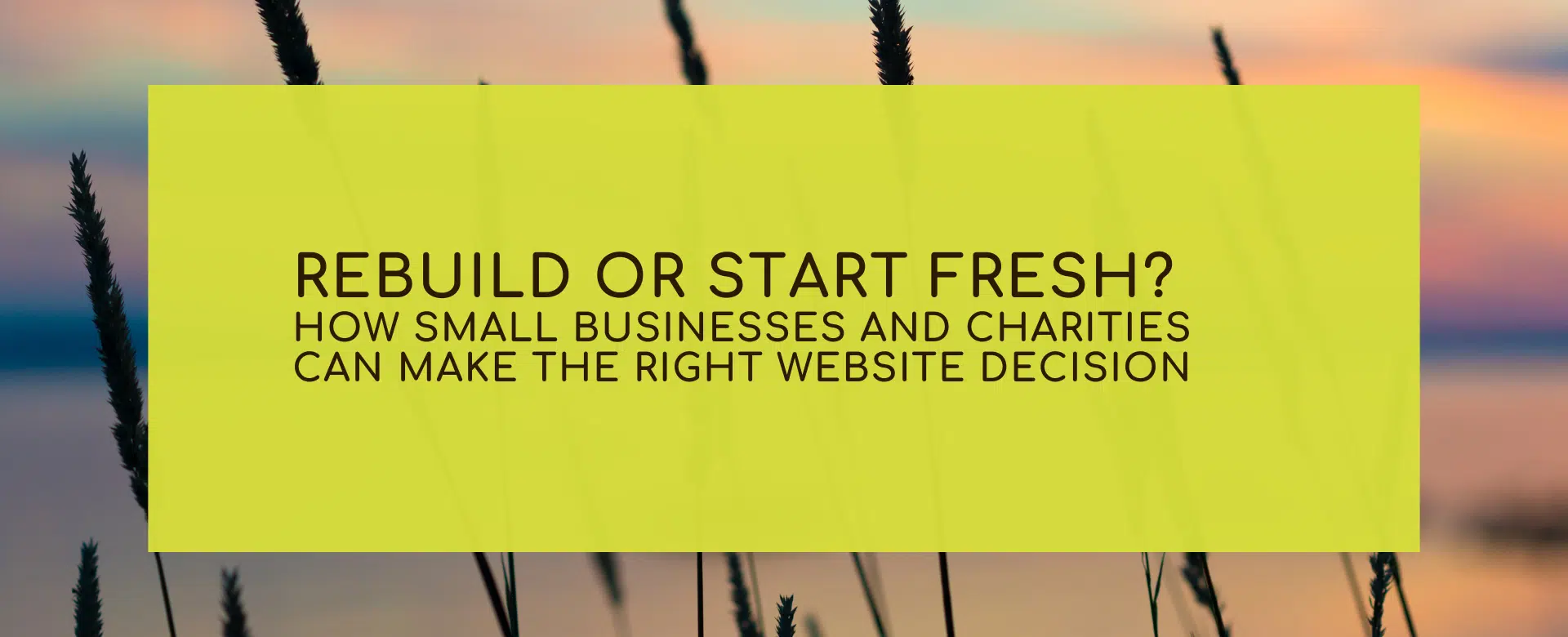 Rebuild or Start Fresh? How Small Businesses and Charities Can Make the Right Website Decision