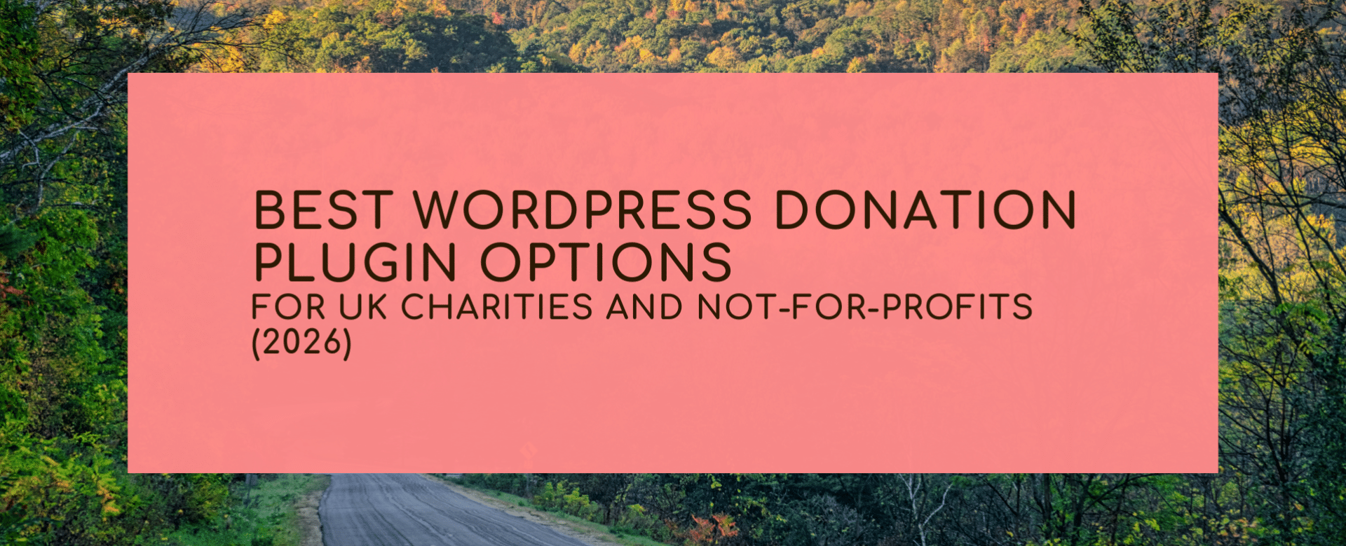 Best donation plugins for ecommerce